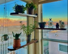 some plants are sitting on shelves in front of a window overlooking the desert and mountains