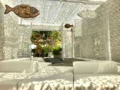 Shade/Privacy: Shade, Privacy & Decoration