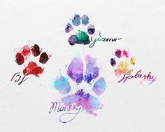 three watercolor paw prints with the words yummy and monkey written in different languages