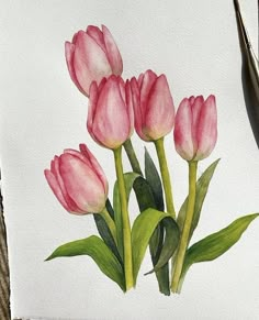 a watercolor painting of pink tulips on white paper