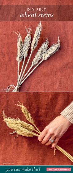 three different pictures showing how to make wheat stems