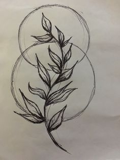 a drawing of a plant in a circle with leaves on the top and bottom half