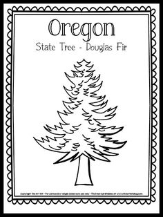 the oregon state tree - douglas fir is shown in this black and white coloring page