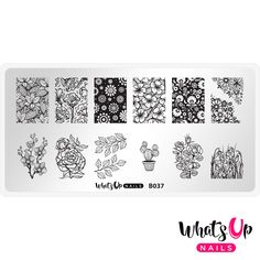 You will receive 1 plate. Stamper is not included. The best quality of stamping plates on the market, original and trendy designs to make your manicure look fabulous! Deep etching of plate images is perfect for beginners and professionals to create original stamped designs at home and salon. Plate includes 12 images, each design is 5/8in (15mm) on 13/16in (21mm). Plate size: 2 3/8in (60mm) x 4 3/4in (120mm) How To Use    Remove your new stamping plate from its packaging and remove the plastic protective film from over the metal. When you first receive your plate and after every use wipe clean your plate with acetone or non-acetone nail polish remover without oils. Сlean your stamper with tape by using the sticky side to remove dry polish. Quickly apply a thick layer of nail polish in a few Stamping Nail Polish, Up Nails, Nail Vinyls, Nail Tape, Nail Stamping Plates, Chandler Az, Stamping Nail Art, Plastic Card, Beautiful Nail Designs