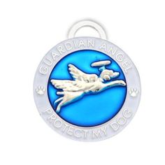 a blue and white dog tag with an airplane on it