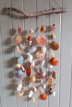 there are many seashells hanging on the wall