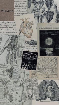 a collage of drawings and pictures with words written on the bottom right hand corner