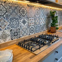 a stove top oven sitting inside of a kitchen next to a potted green plant