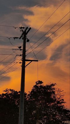 the sun is setting behind power lines and telephone poles with trees in the foreground