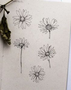 some drawings of flowers on a piece of paper