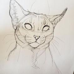 a drawing of a cat with its eyes closed