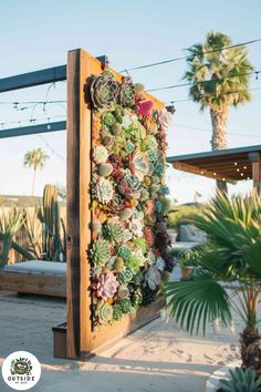 a wooden fence with succulents on it and palm trees in the background