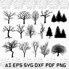 the silhouettes of trees are shown in black and white