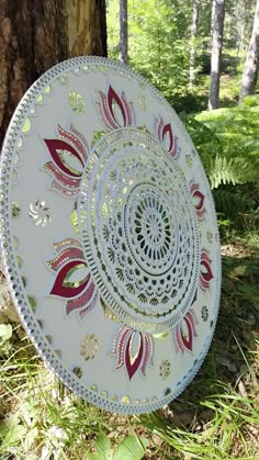 a white plate sitting in the grass next to a tree and some leaves on it