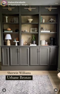 sheryln williams urbane bronze in the living room with gray cabinets and rug