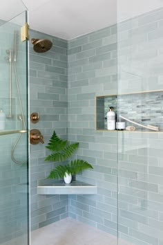 a bathroom with green tiles and a plant in the corner on the shelf next to the shower