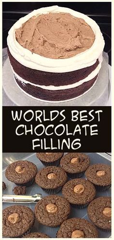 there is a chocolate cake and cupcakes on the table with words world's best chocolate filling