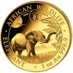 an african wild life elephant is depicted in this gold coin