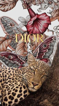 a leopard laying on top of a tree next to a butterfly and flower wallpaper