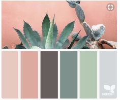 an image of a plant with color swatches