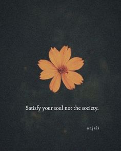 an orange flower with the words, satisfy your soul not the society