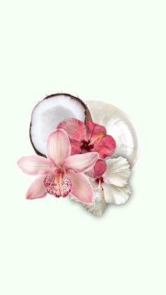 a pink flower and two coconuts on a white plate