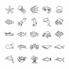 the different types of sea animals are shown in black and white