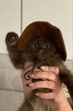 a person holding a cat with a hat on top of it's head and hands