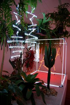 an indoor area with plants and lights in it