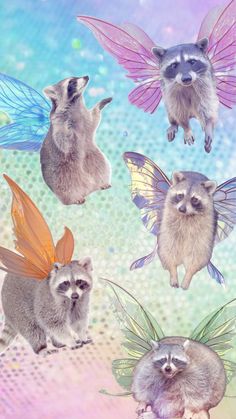 four raccoons with different wings and colors on their backs, sitting in the air