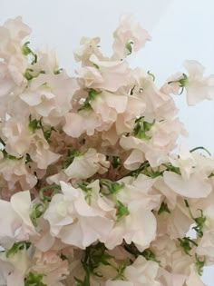 a bouquet of white flowers with green stems