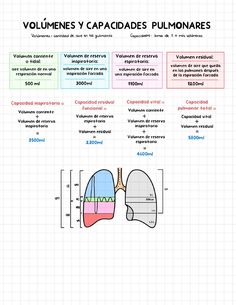 the diagram shows different types of lungs