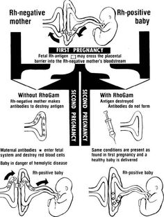 the diagram shows different stages of an infant's development, and how they can help them