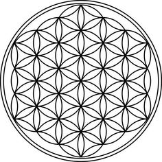 the flower of life symbol in black and white