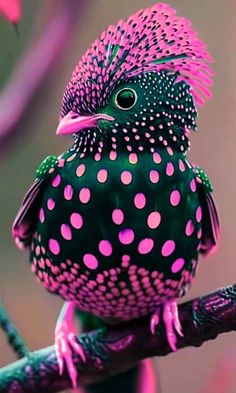 a colorful bird sitting on top of a tree branch with pink and green polka dots