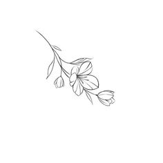 a black and white drawing of a branch with flowers on it's end, against a white background