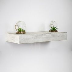 two glass vases with plants on top of a wooden shelf against a white wall