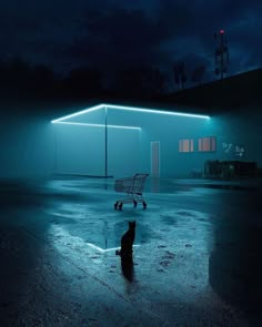 a cat sitting in the middle of a parking lot at night with a shopping cart