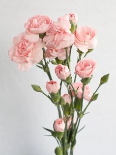 pink flowers are in a glass vase on a table