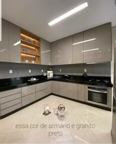 two dogs laying on the floor in a kitchen