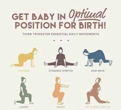 a poster with the words get baby in official position for birth and six different poses