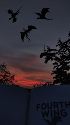 the silhouettes of flying bats against a sunset