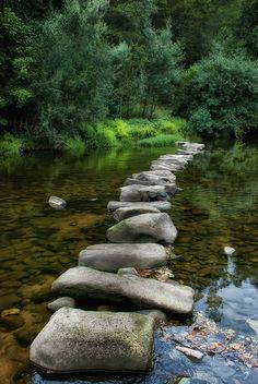 stepping stones in the middle of a river with green trees and water behind them,