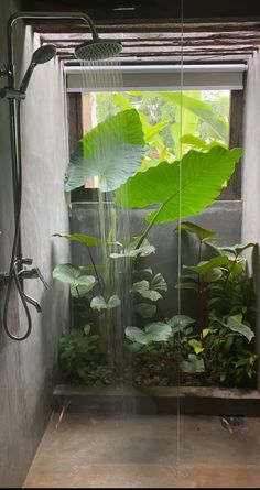 a shower head with water flowing from it's side and plants in the background