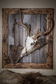 a deer skull mounted on a wooden frame