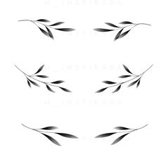 four black and white leaves on a white background