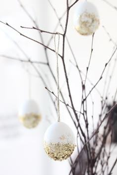 two ornaments hanging from branches in front of a white wall