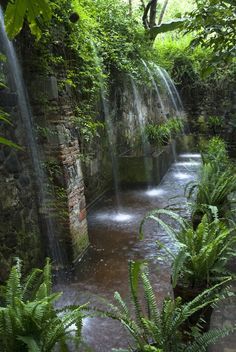 there is a small waterfall in the middle of some trees and plants on the ground