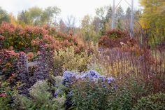 the garden is full of colorful flowers and trees