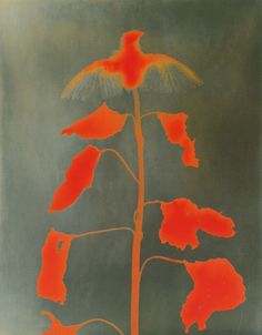 a painting with red and green leaves on it